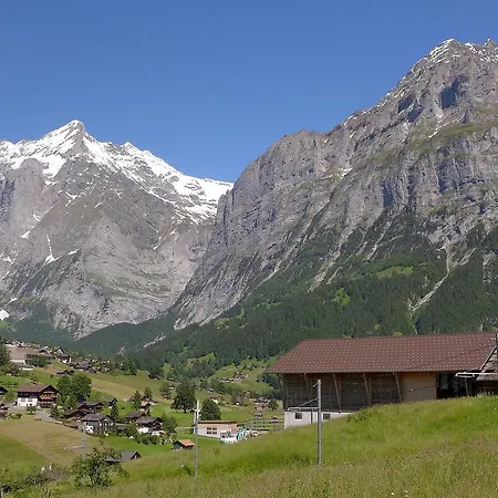 Daire Chalet Olivia Grindelwald